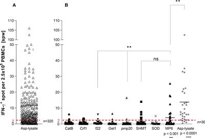 Rapid and sustained T cell-based immunotherapy against invasive fungal disease via a combined two step procedure
